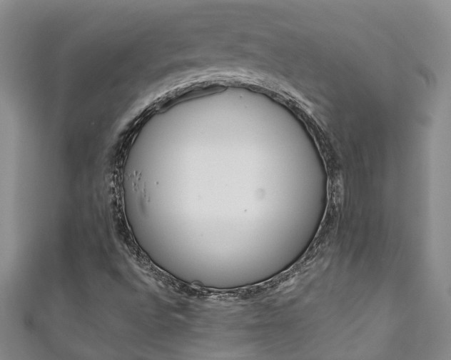 X0000111211496200907011040