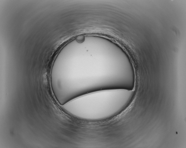 X0000111211497200907011040