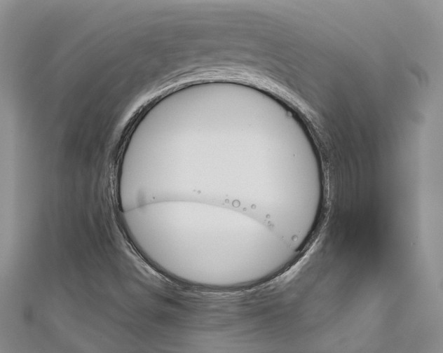 X0000111211498200907011040