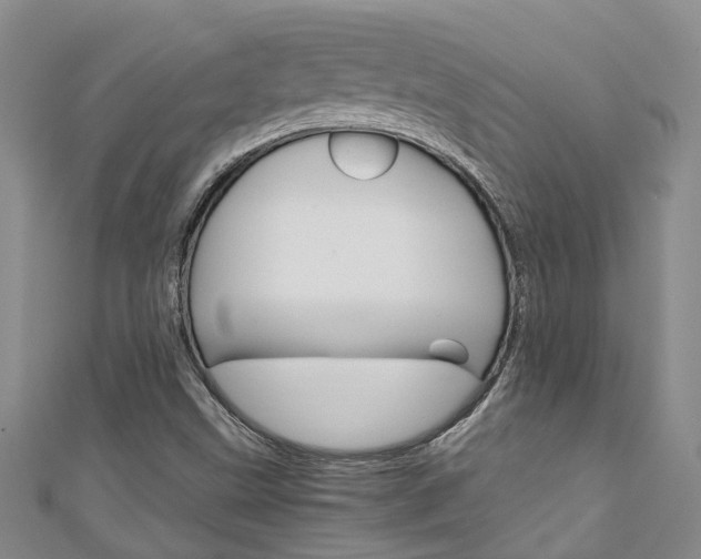 X0000111211499200907011040