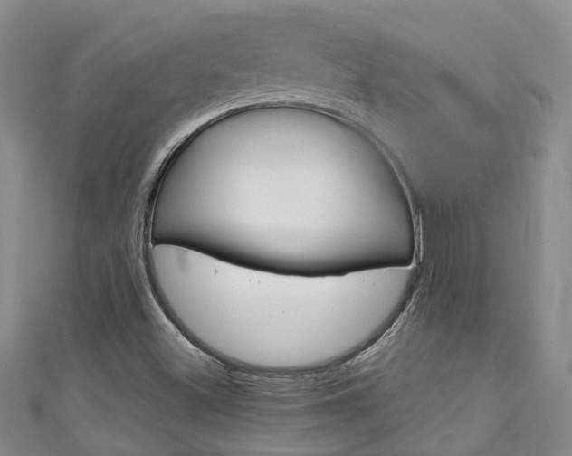 X0000111211500200907011040