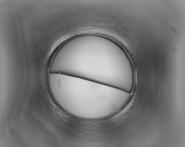 X0000111211501200907011040