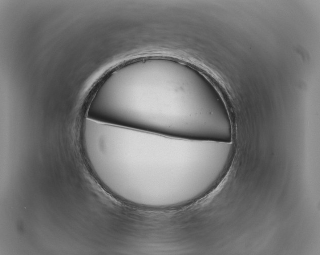 X0000111211502200907011040