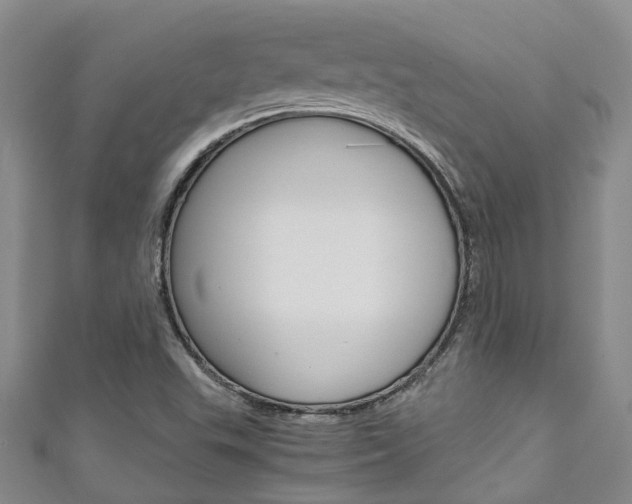 X0000111211503200907011040