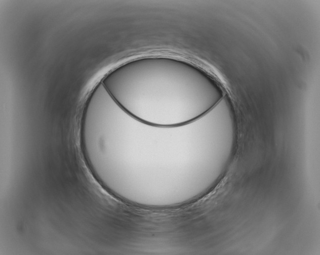 X0000111211504200907011040