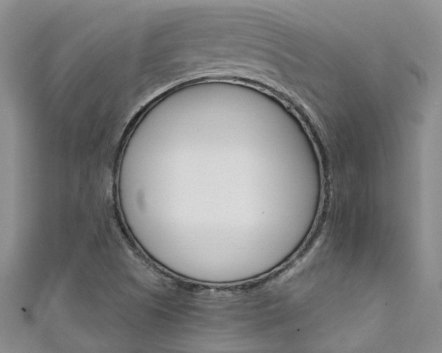 X0000111211505200907011040