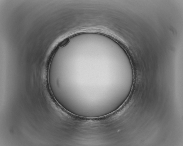 X0000111211506200907011040