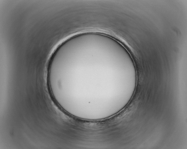 X0000111211508200907011040