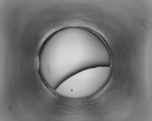 X0000111211509200907011040