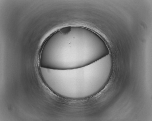 X0000111211510200907011040