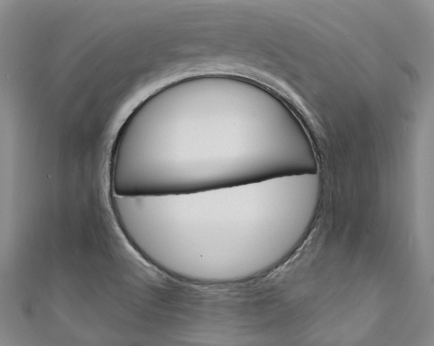 X0000111211512200907011040