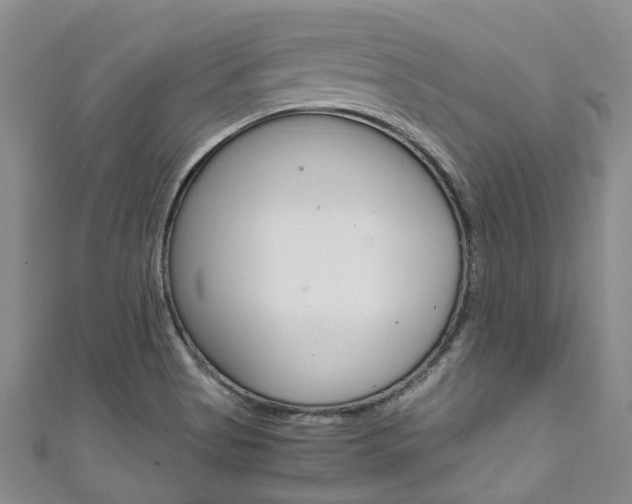 X0000111211513200907011040