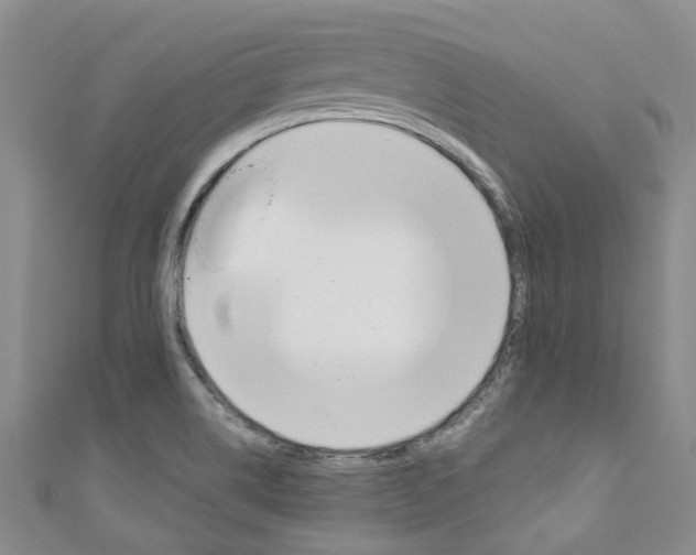 X0000111211514200907011040