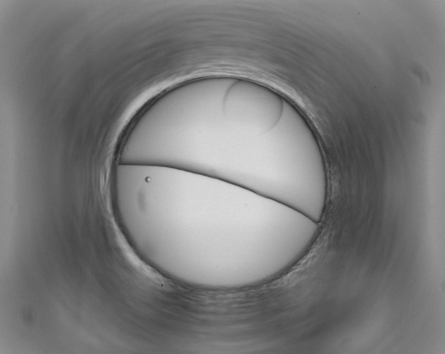 X0000111211515200907011040