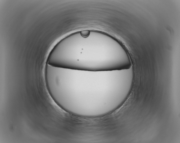 X0000111211516200907011040