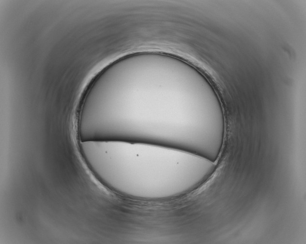 X0000111211517200907011040