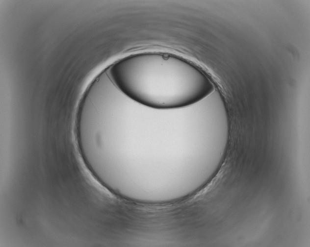 X0000111211518200907011040