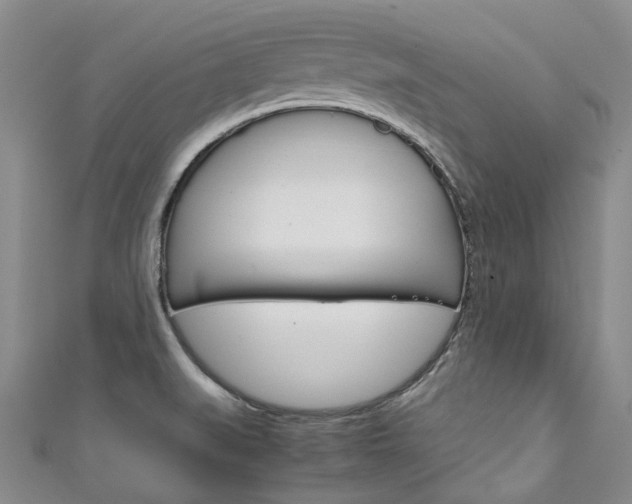 X0000111211519200907011040