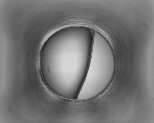 X0000111211520200907011040