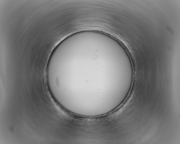 X0000111211521200907011040