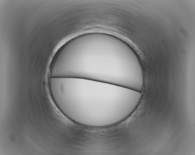 X0000111211522200907011040