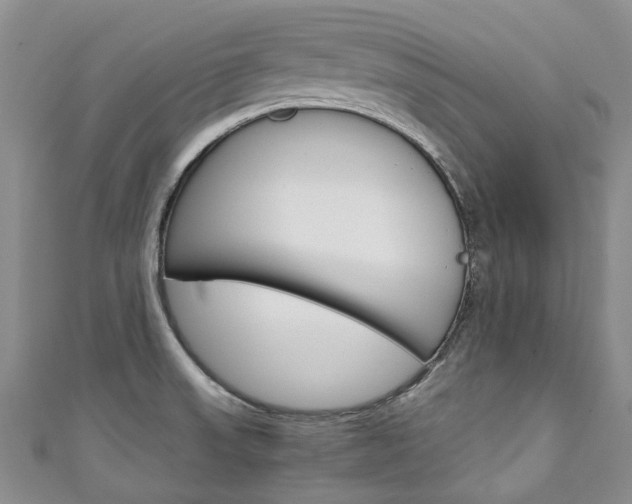 X0000111211523200907011040