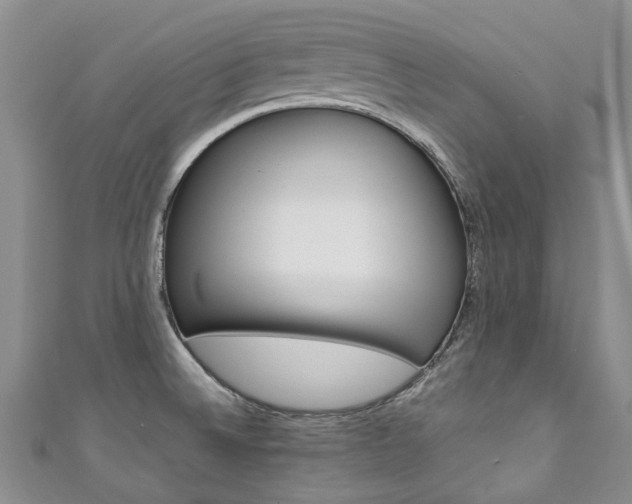 X0000111211524200907011040