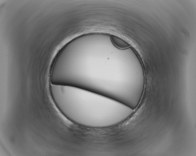 X0000111211525200907011040