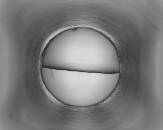 X0000111211526200907011040