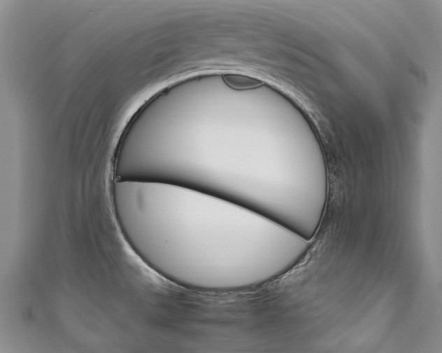 X0000111211527200907011040
