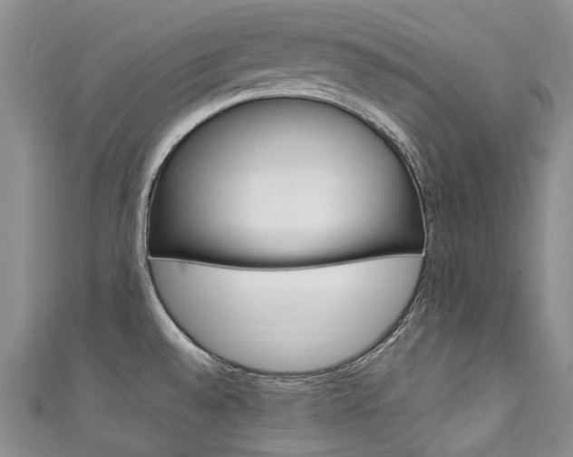 X0000111211528200907011040