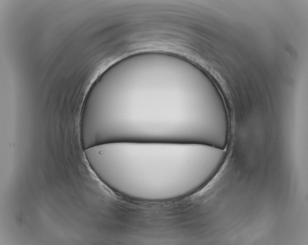 X0000111211529200907011040