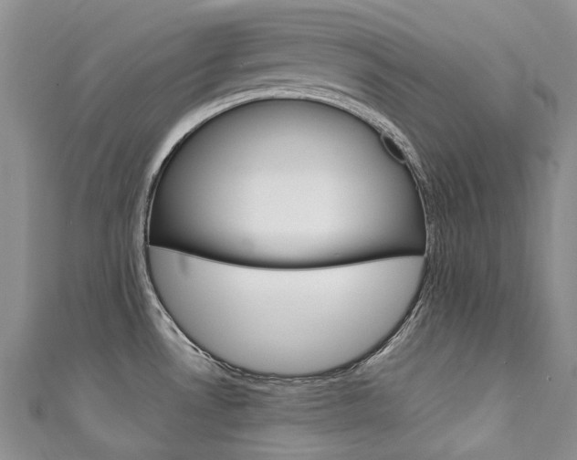 X0000111211530200907011040