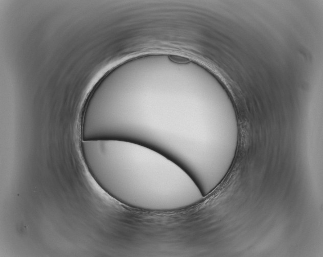 X0000111211531200907011040