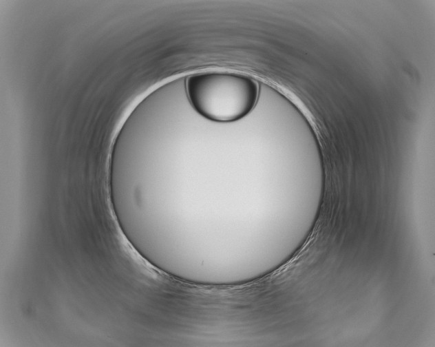X0000111211532200907011040