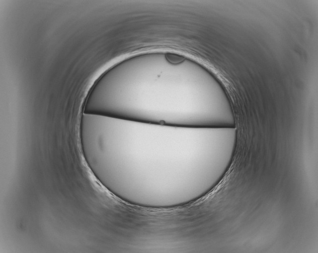 X0000111211534200907011040