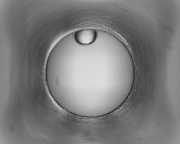 X0000111211536200907011040