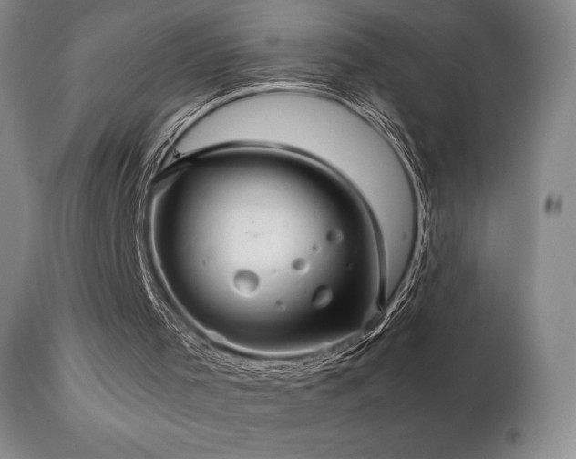 X0000111210001200907011456