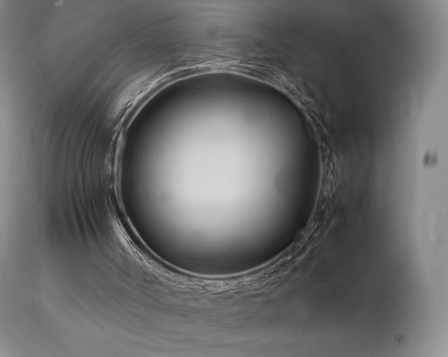 X0000111210002200907011456