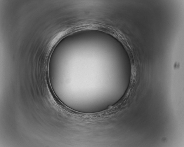 X0000111210003200907011456