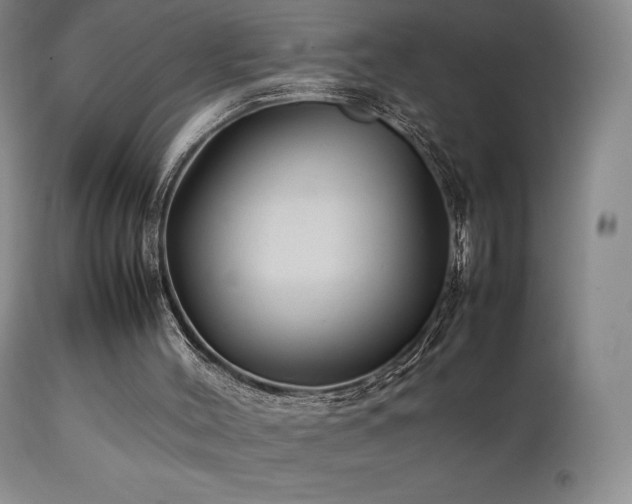 X0000111210004200907011456