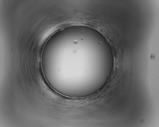 X0000111210005200907011456