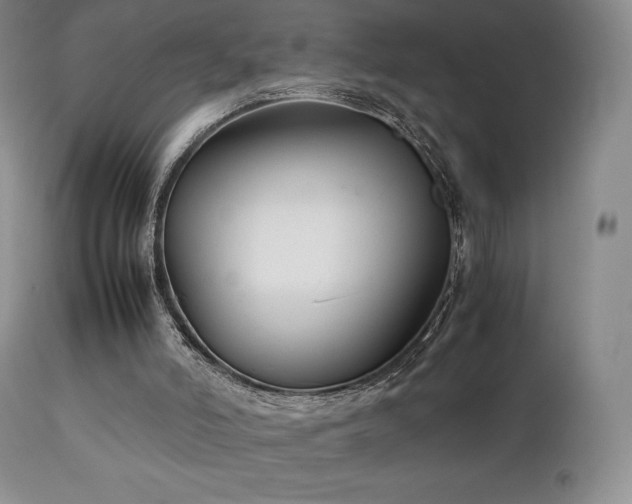 X0000111210006200907011456