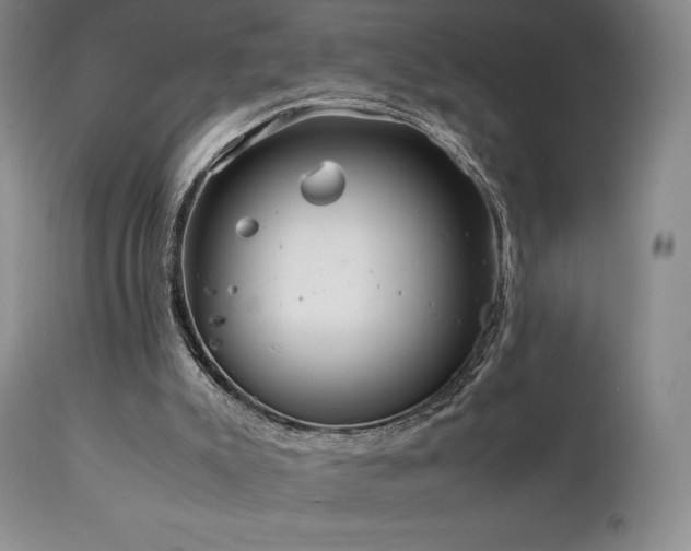 X0000111210007200907011456