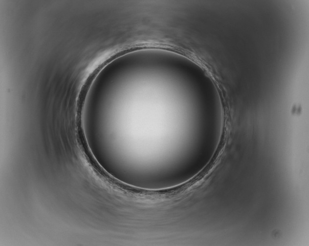 X0000111210008200907011456