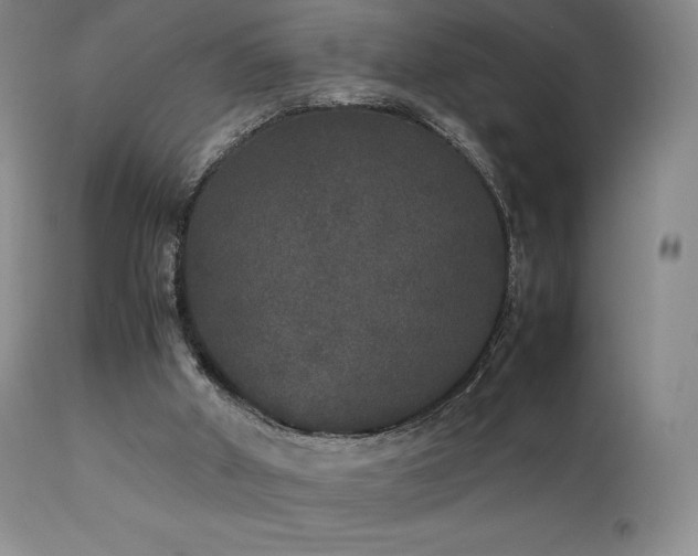 X0000111210010200907011456