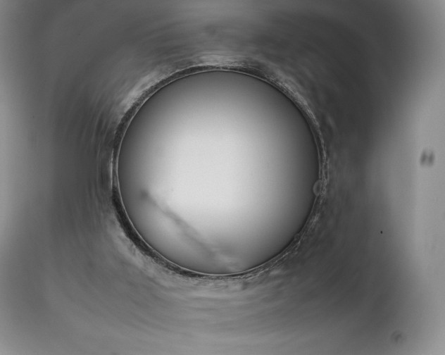 X0000111210011200907011456