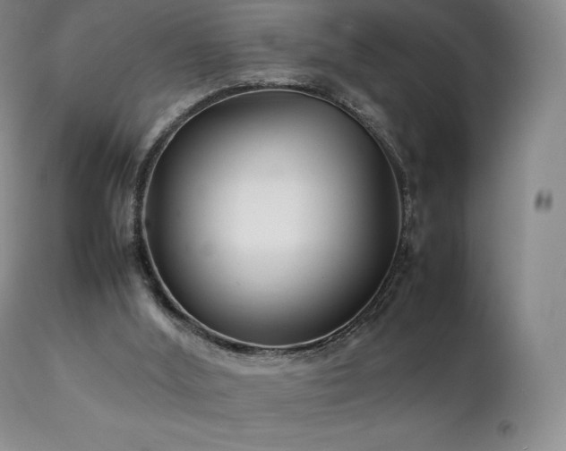 X0000111210012200907011456