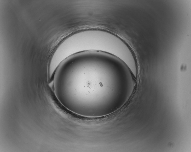 X0000111210013200907011456