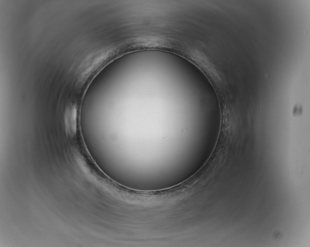 X0000111210014200907011456